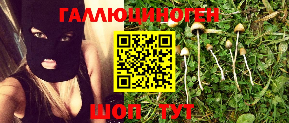 Псилоцибиновые грибы мухоморы  Галлюциногенные грибы GOLDEN TEACHER  Вход с VPN  Нововоронеж 