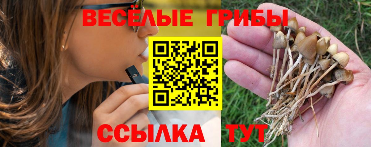 Галлюциногенные грибы прущие грибы Нововоронеж